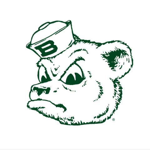 Sailor Bear